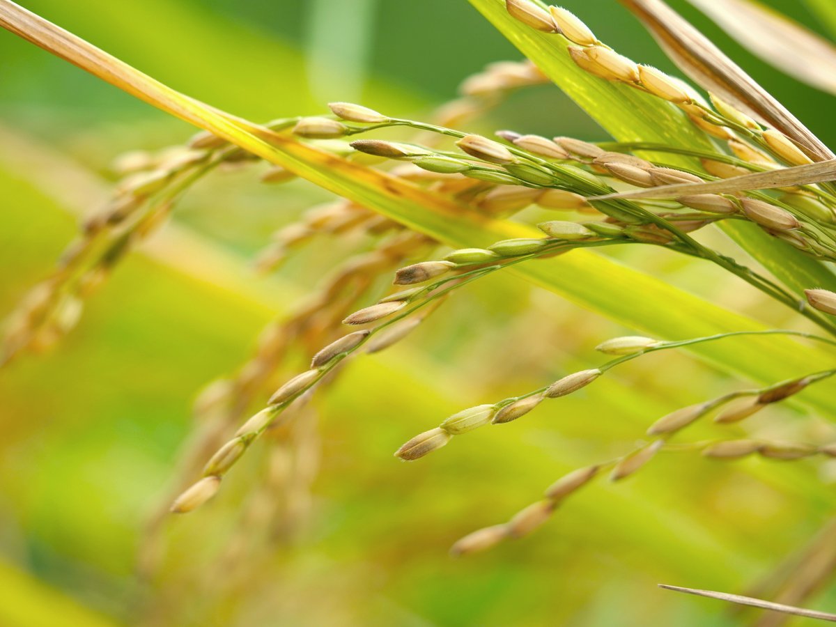 Responsible cultivation